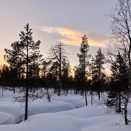 Kuukkeli Log Aurora- Secret *
