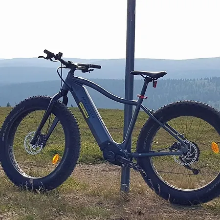 Kuukkeli Log Aurora- Secret Апартаменты