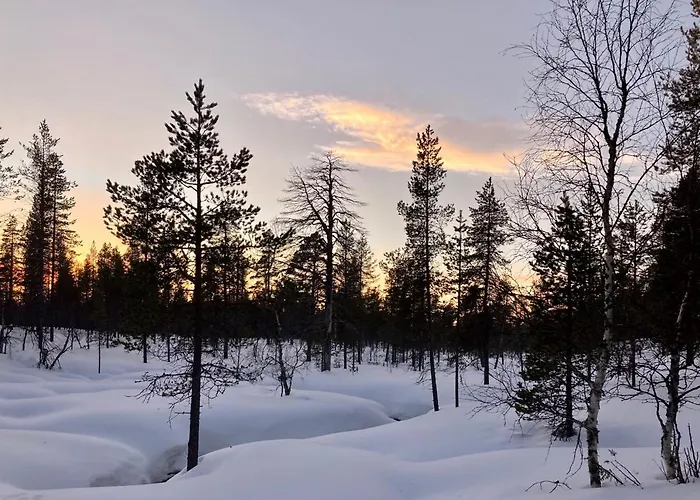 Kuukkeli Log Aurora- Secret *