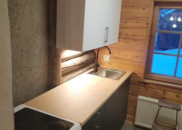 Kuukkeli Log Aurora- Secret *